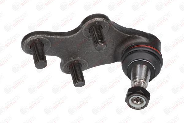 Šarnyras / girgždukas BIRTH CX0218