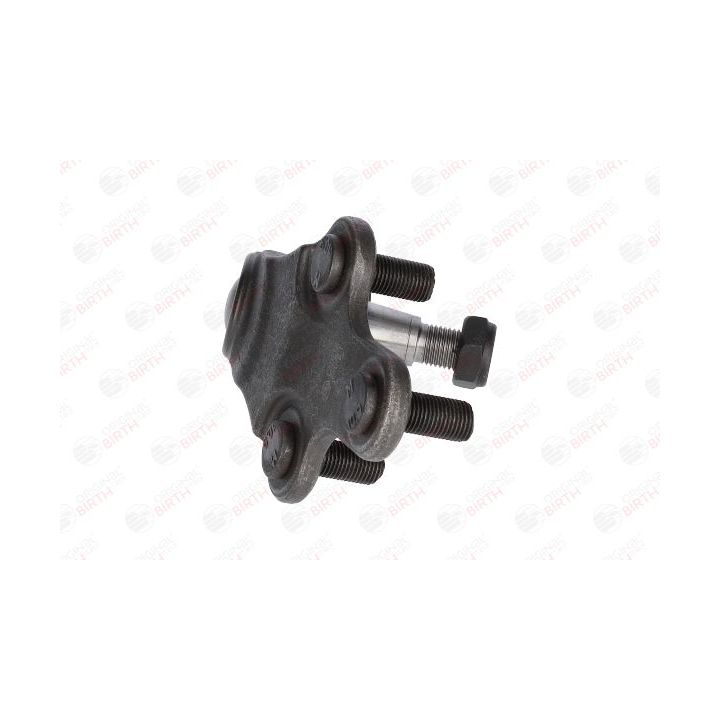 Šarnyras / girgždukas BIRTH CX0218