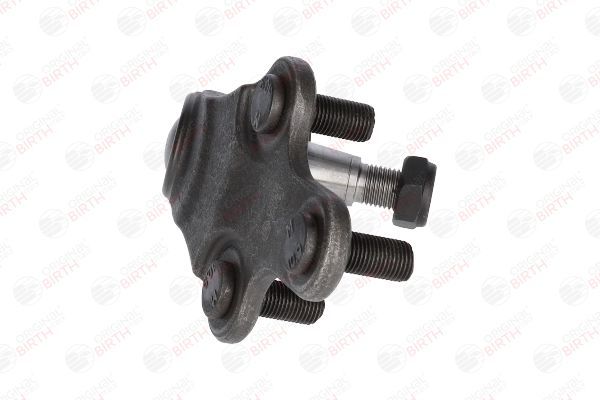 Šarnyras / girgždukas BIRTH CX0218