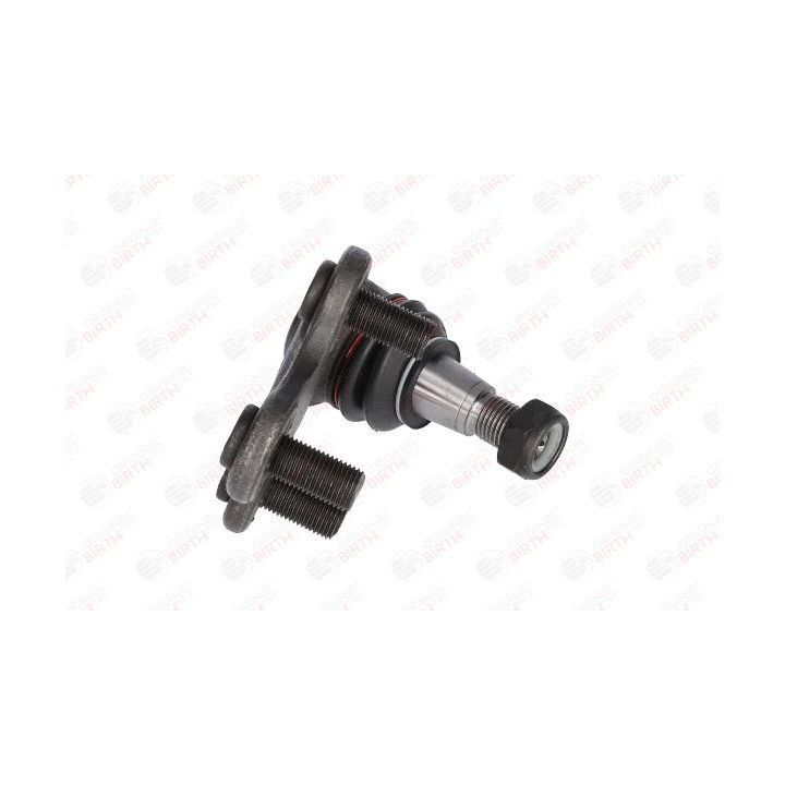 Šarnyras / girgždukas BIRTH CX0218