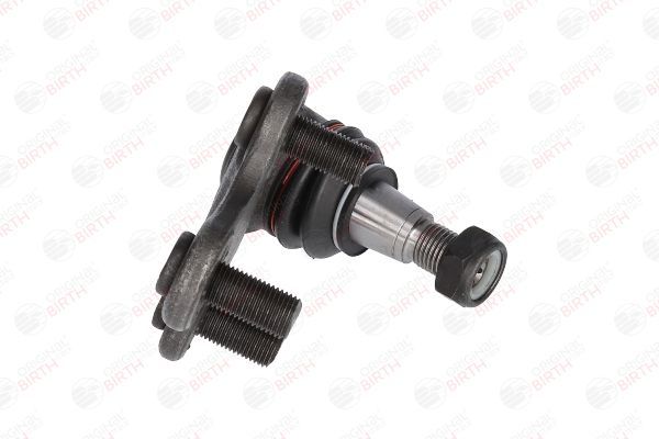 Šarnyras / girgždukas BIRTH CX0218