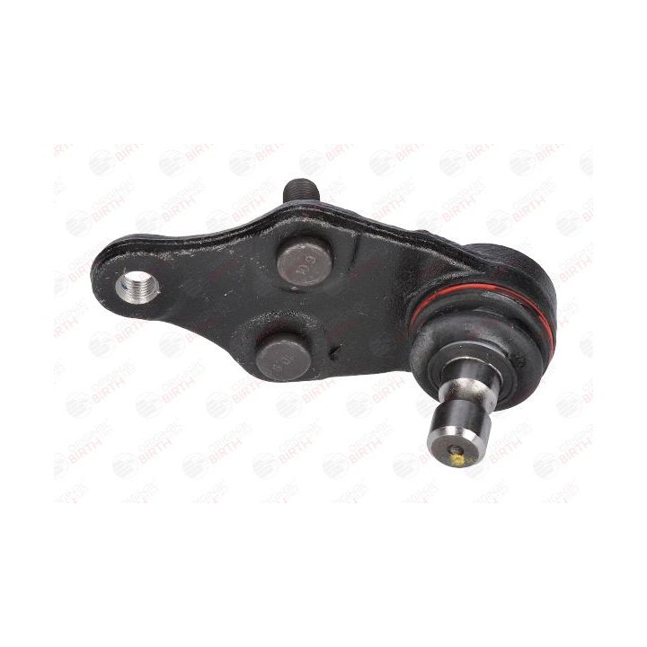 Šarnyras / girgždukas BIRTH CX0219