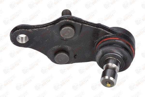 Šarnyras / girgždukas BIRTH CX0219