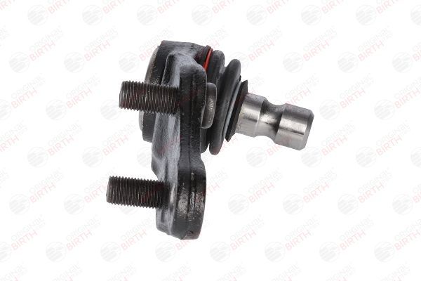 Šarnyras / girgždukas BIRTH CX0219