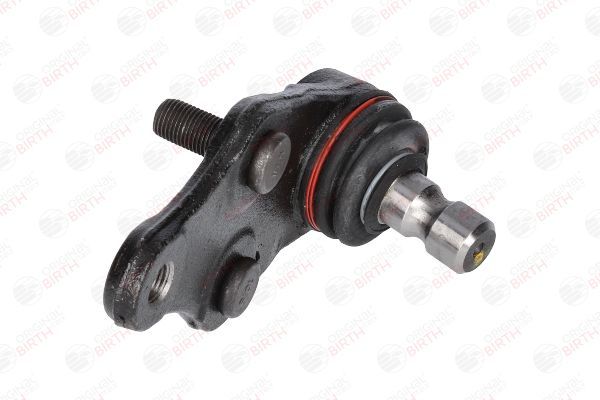 Šarnyras / girgždukas BIRTH CX0219