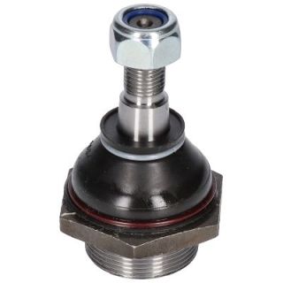 Šarnyras / girgždukas BIRTH CX0255