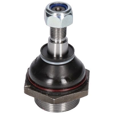 Šarnyras / girgždukas BIRTH CX0255