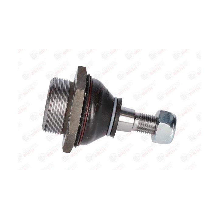 Šarnyras / girgždukas BIRTH CX0255