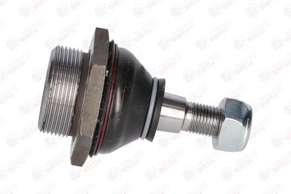 Šarnyras / girgždukas BIRTH CX0255