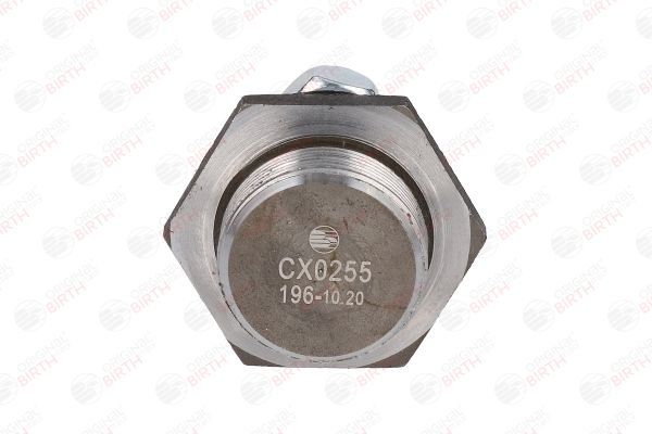 Šarnyras / girgždukas BIRTH CX0255