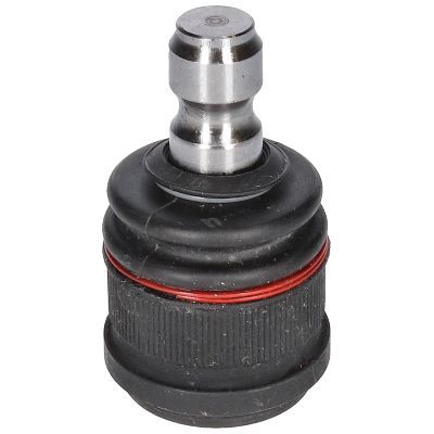 Šarnyras / girgždukas BIRTH CX0349