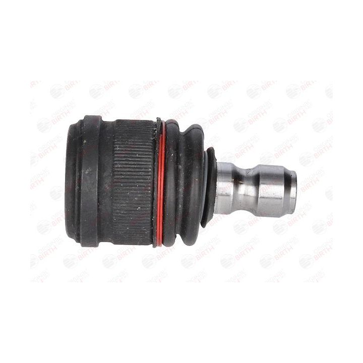 Šarnyras / girgždukas BIRTH CX0349