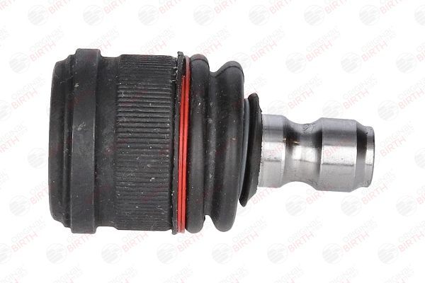 Šarnyras / girgždukas BIRTH CX0349