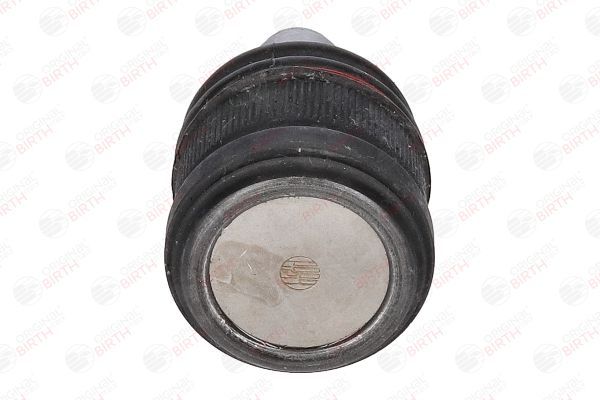 Šarnyras / girgždukas BIRTH CX0349