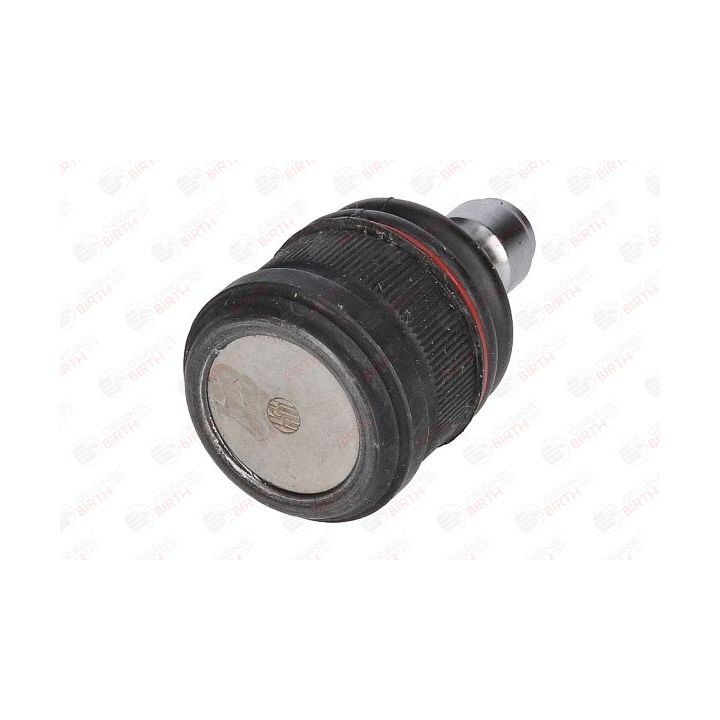 Šarnyras / girgždukas BIRTH CX0349