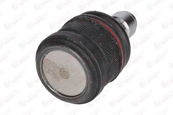 Šarnyras / girgždukas BIRTH CX0349