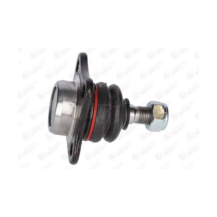 Šarnyras / girgždukas BIRTH CX0478