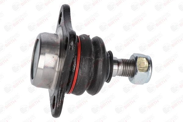 Šarnyras / girgždukas BIRTH CX0478