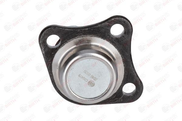 Šarnyras / girgždukas BIRTH CX0478