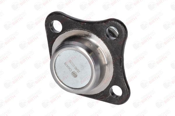 Šarnyras / girgždukas BIRTH CX0478