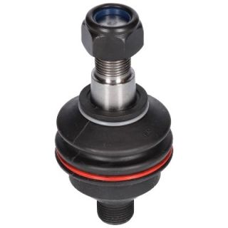 Šarnyras / girgždukas BIRTH CX0518