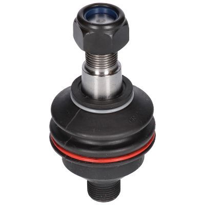 Šarnyras / girgždukas BIRTH CX0518