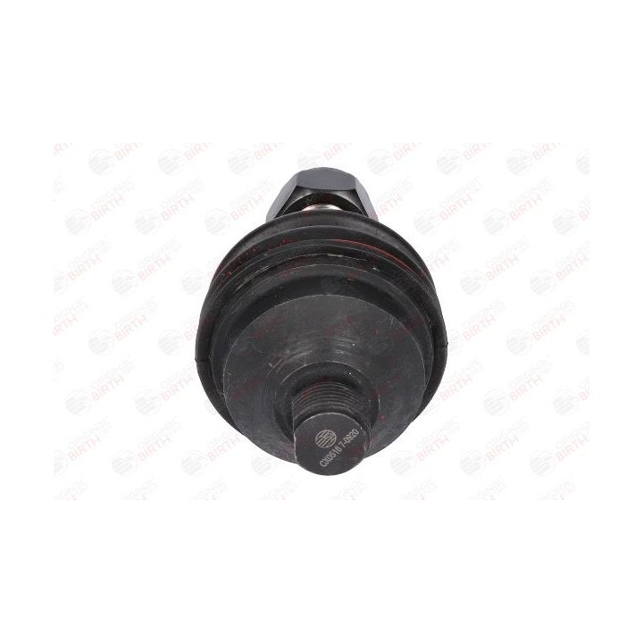 Šarnyras / girgždukas BIRTH CX0518