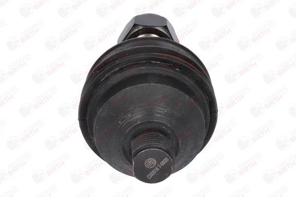 Šarnyras / girgždukas BIRTH CX0518