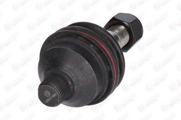 Šarnyras / girgždukas BIRTH CX0518