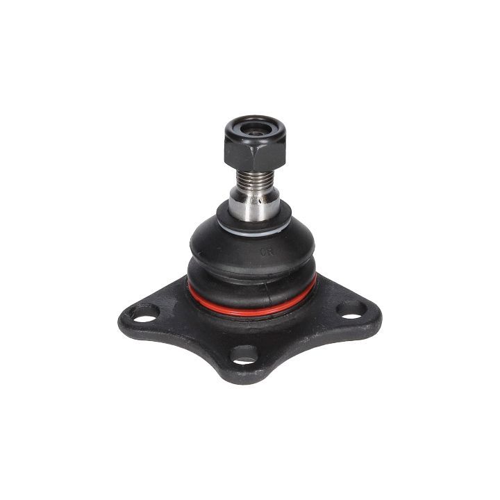 Šarnyras / girgždukas BIRTH CX0556