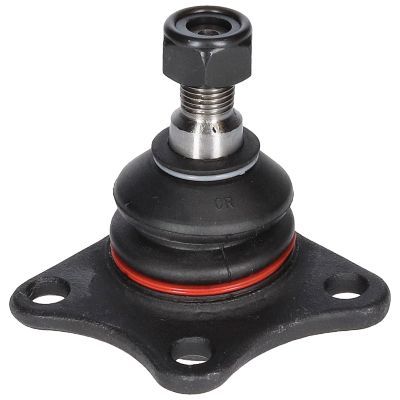 Šarnyras / girgždukas BIRTH CX0556