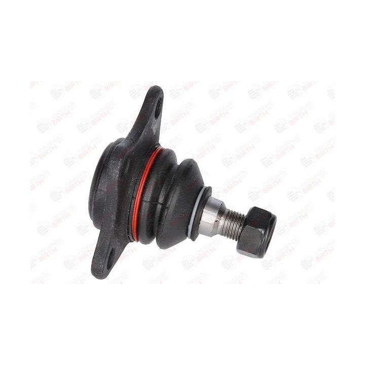 Šarnyras / girgždukas BIRTH CX0556