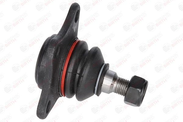 Šarnyras / girgždukas BIRTH CX0556