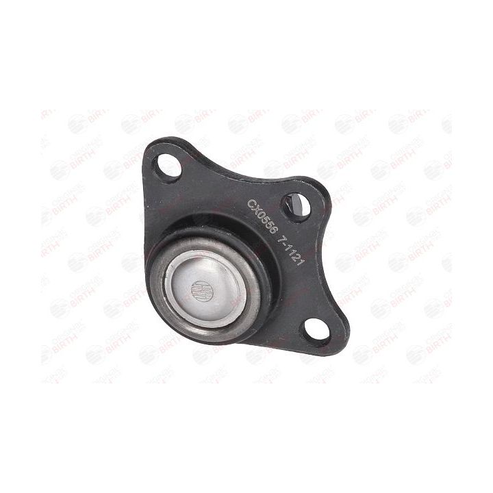 Šarnyras / girgždukas BIRTH CX0556