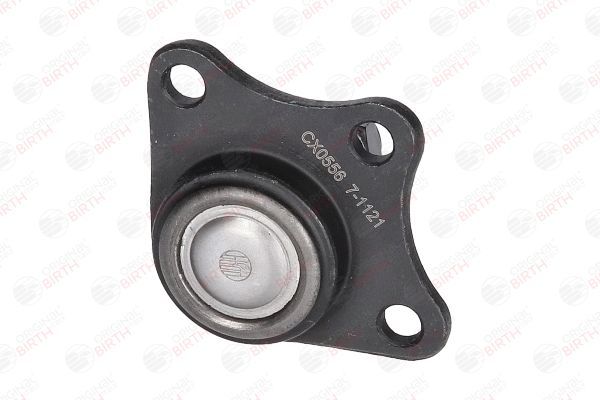 Šarnyras / girgždukas BIRTH CX0556