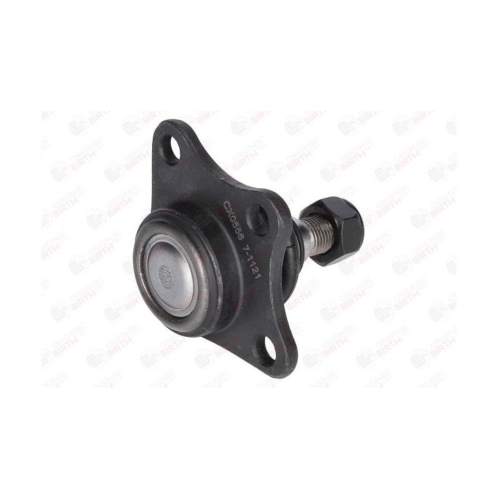 Šarnyras / girgždukas BIRTH CX0556