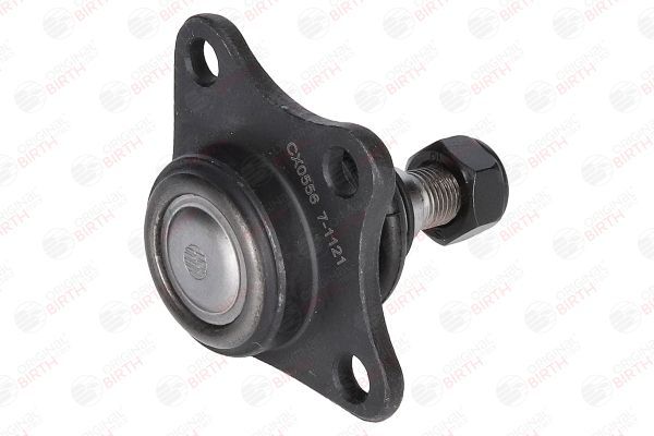 Šarnyras / girgždukas BIRTH CX0556