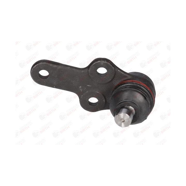 Šarnyras / girgždukas BIRTH CX0854