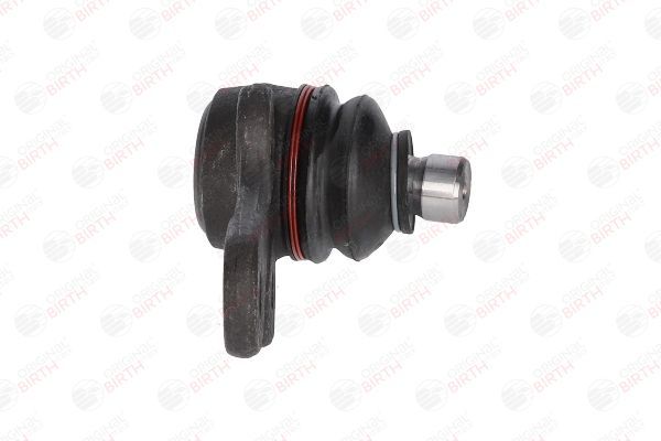 Šarnyras / girgždukas BIRTH CX0854