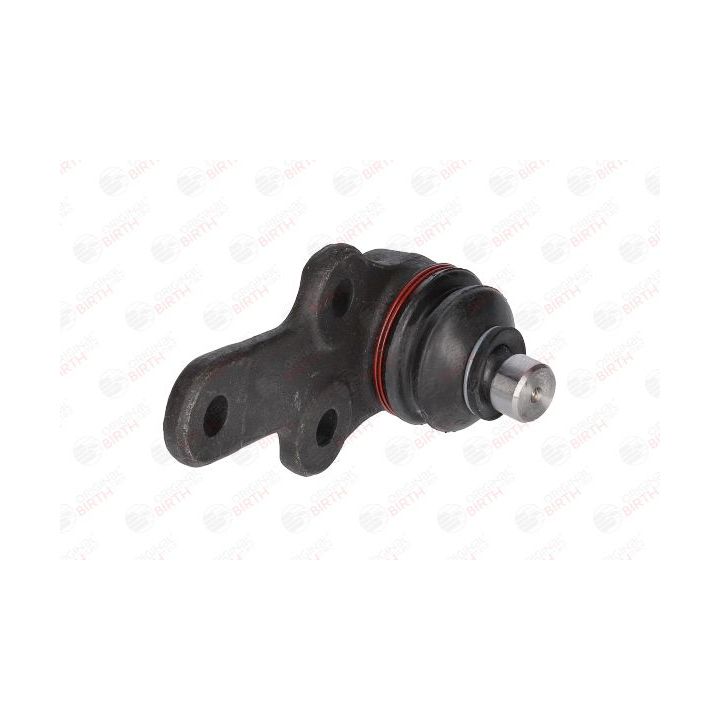 Šarnyras / girgždukas BIRTH CX0854