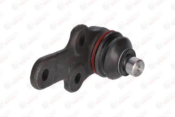 Šarnyras / girgždukas BIRTH CX0854