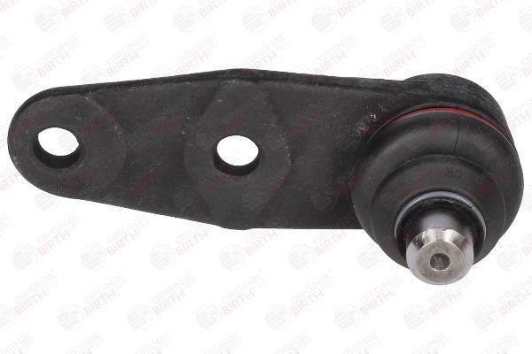 Šarnyras / girgždukas BIRTH CX0928