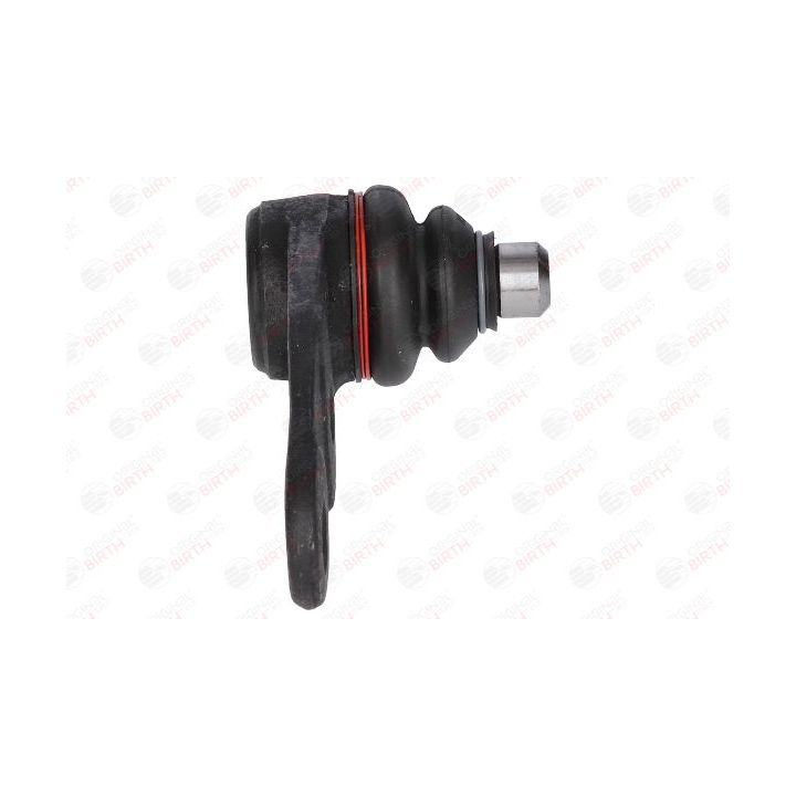 Šarnyras / girgždukas BIRTH CX0928