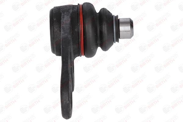 Šarnyras / girgždukas BIRTH CX0928