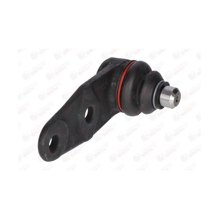 Šarnyras / girgždukas BIRTH CX0928