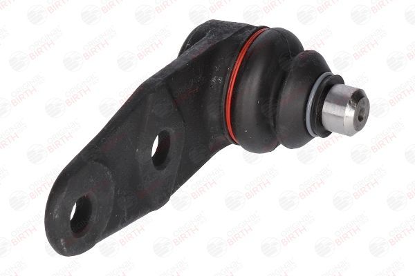 Šarnyras / girgždukas BIRTH CX0928