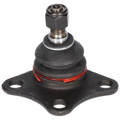 Šarnyras / girgždukas BIRTH CX1014