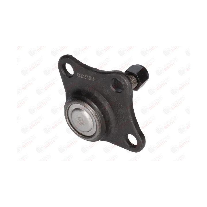 Šarnyras / girgždukas BIRTH CX1014