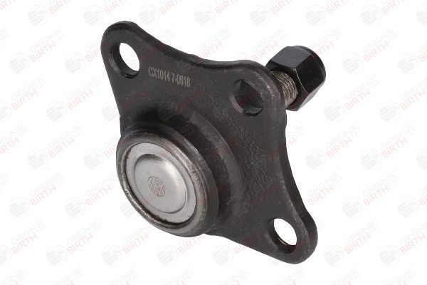 Šarnyras / girgždukas BIRTH CX1014