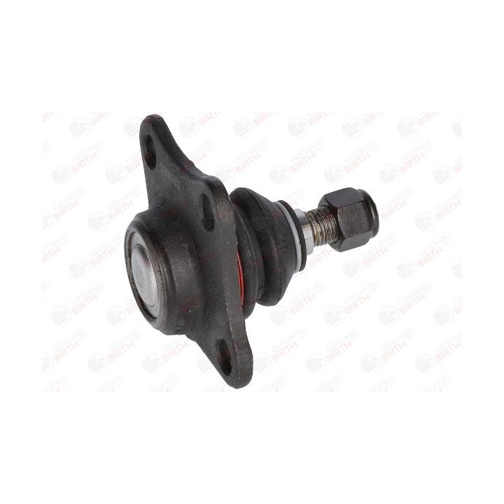 Šarnyras / girgždukas BIRTH CX1014